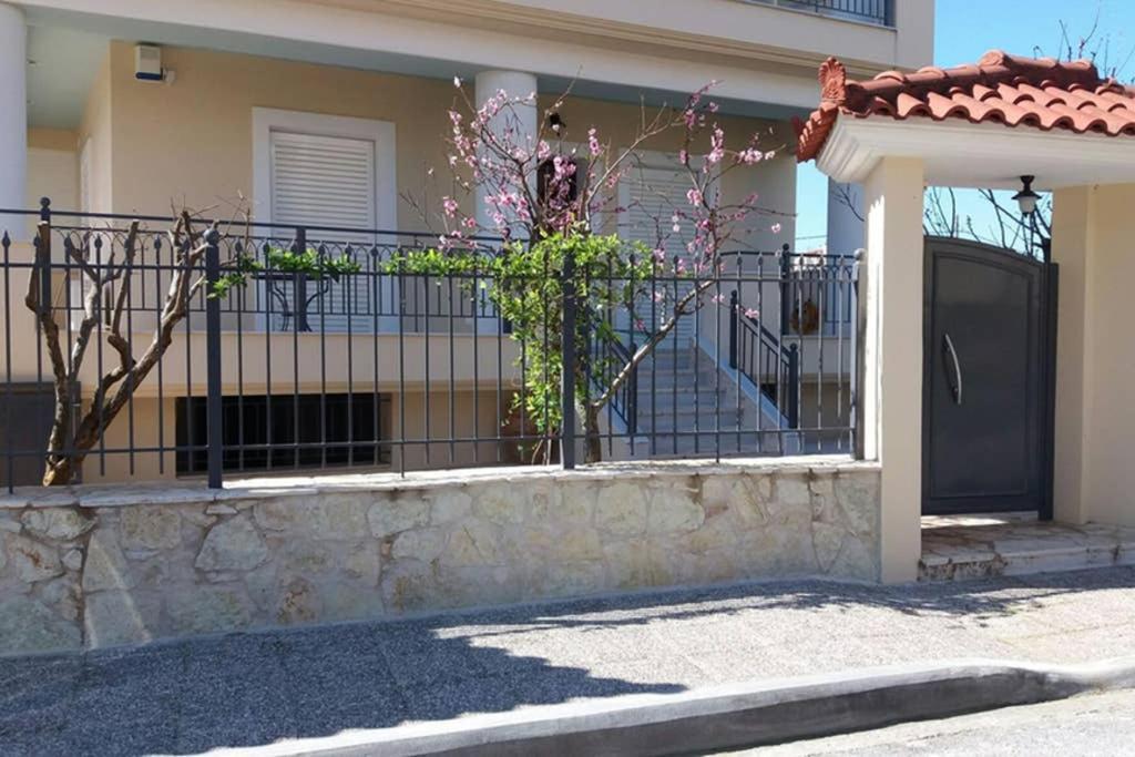 New, Bright, Cozy, Autonomous Apartment With Private Entrance And Garden, 42 M2, 5Min To The Beach And City Center Kalamata Extérieur photo